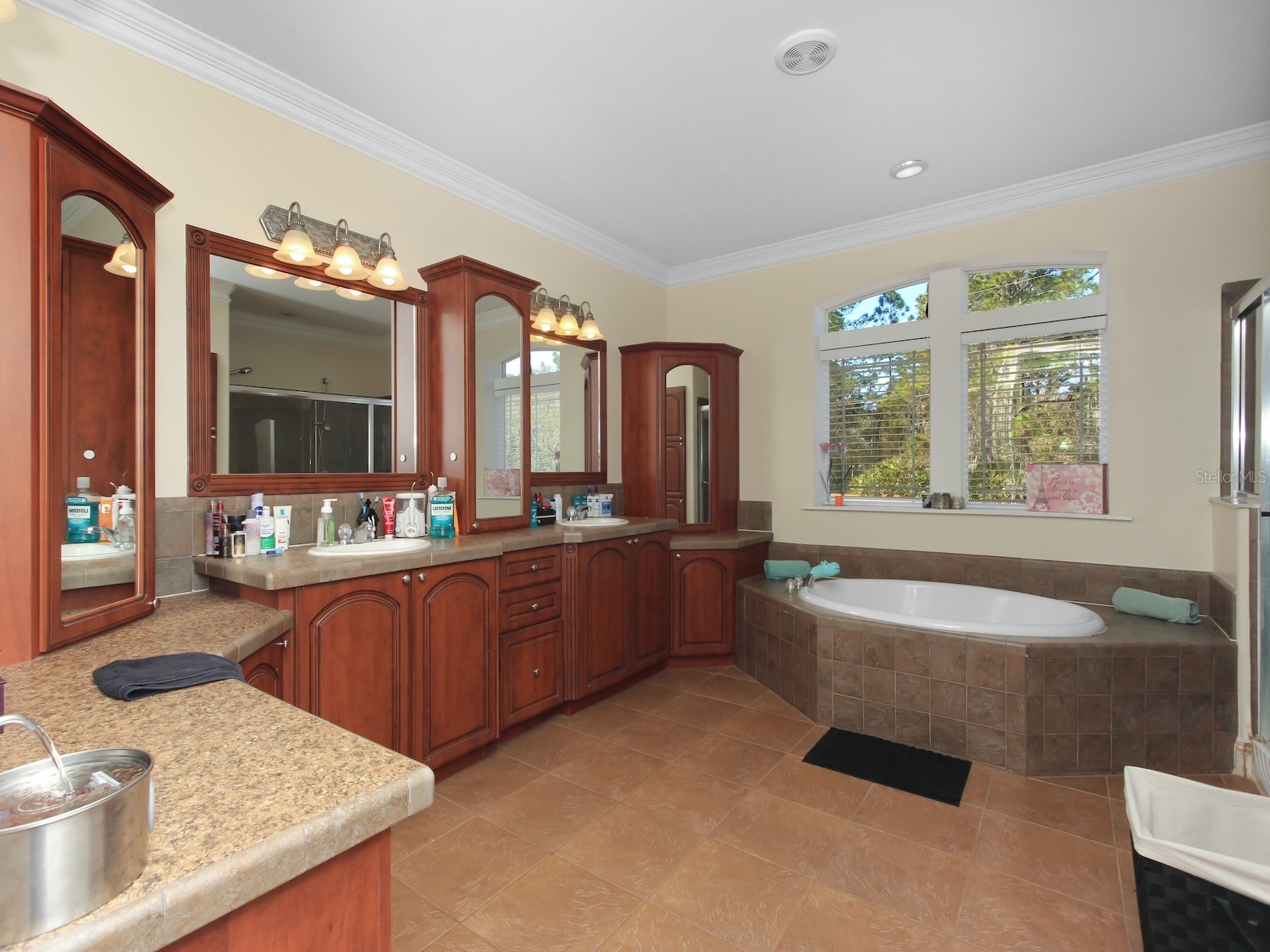 6222 Buck Fever Road Polk City FL 33868 S5143058 image18