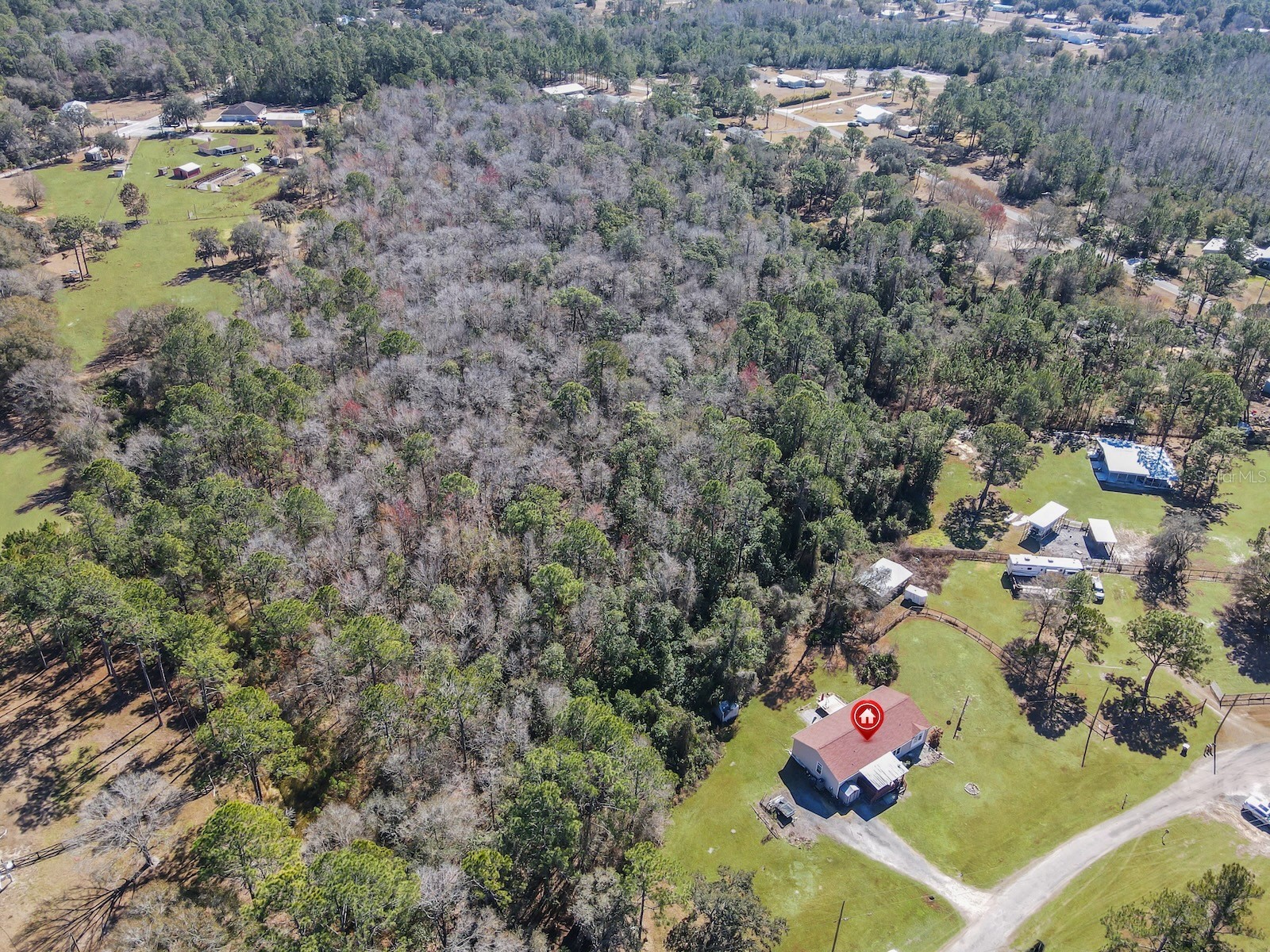6222 Buck Fever Road Polk City FL 33868 S5143058 image29