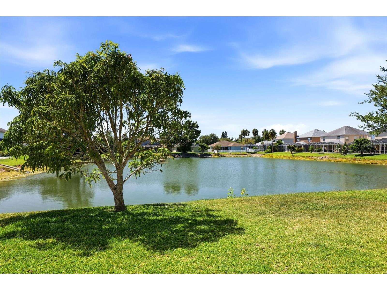 6223 Rock Creek Circle Ellenton FL 34222 - COMMUNITY POND TB8497812 image35