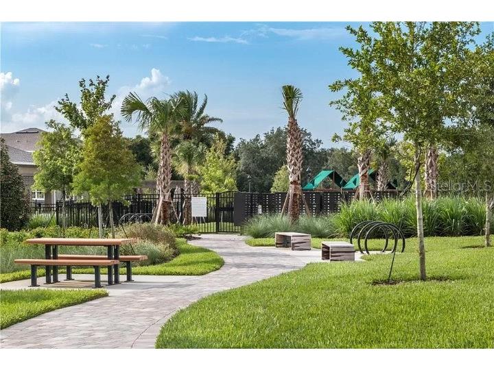 6224 Aralia Ivy Lane Winter Garden FL 34787 O6404181 image22