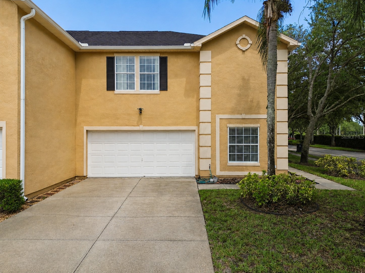 6224 Clifton Palms Drive Tampa FL 33647 TB8519573 image1