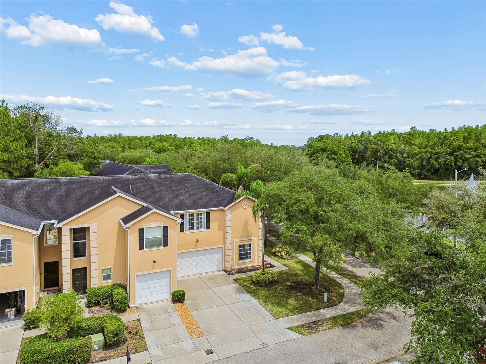 6224 Clifton Palms Drive Tampa FL 33647 TB8519573 image11