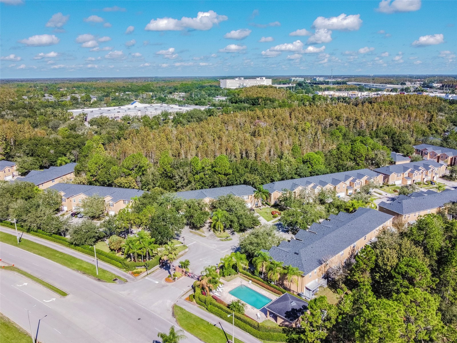 6224 Clifton Palms Drive Tampa FL 33647 TB8519573 image13