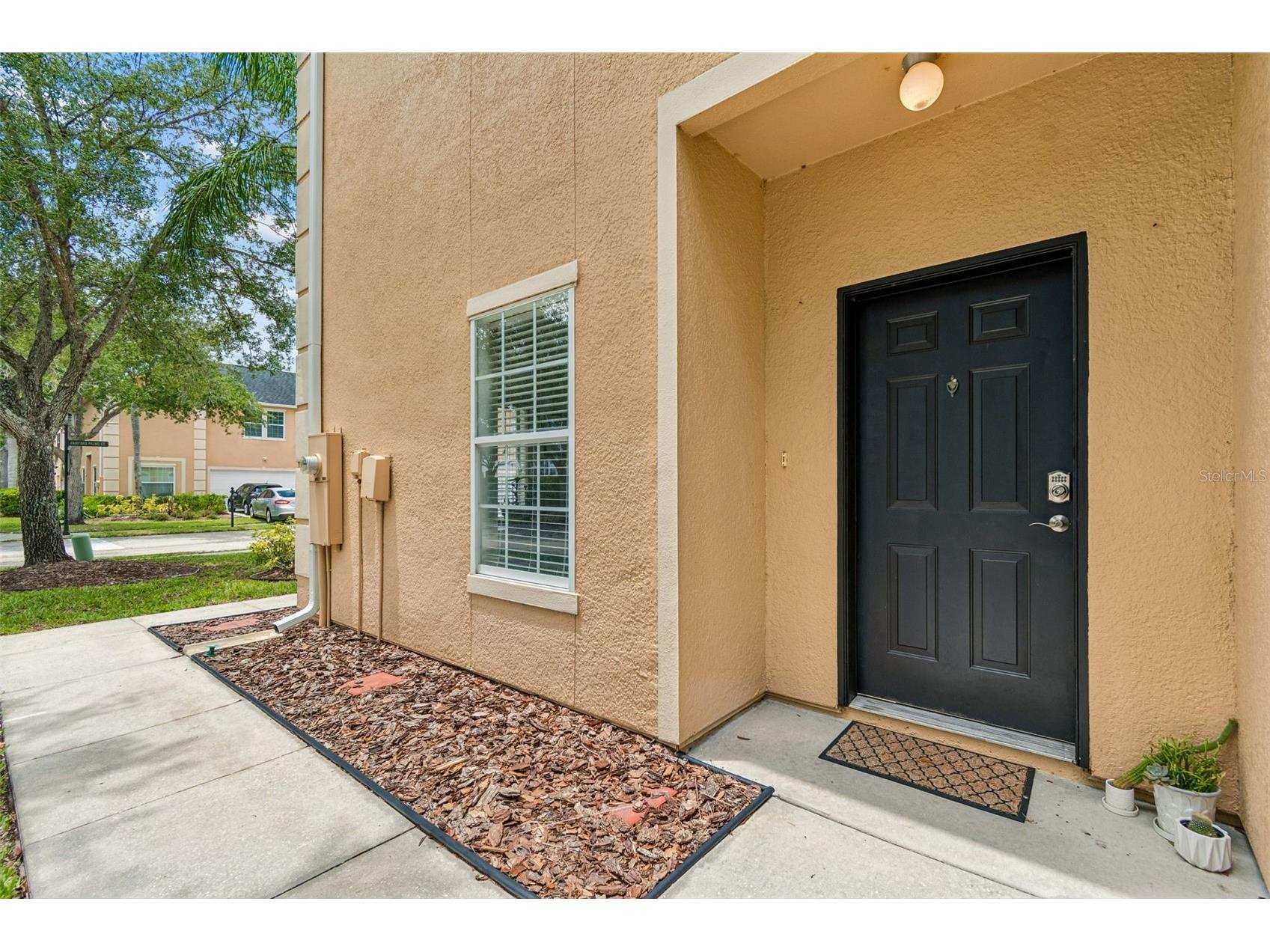 6224 Clifton Palms Drive Tampa FL 33647 TB8519573 image16