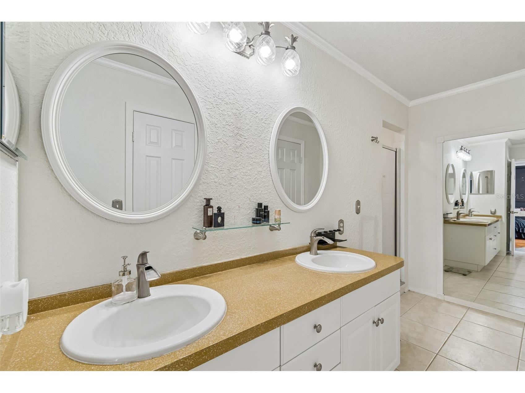 6224 Clifton Palms Drive Tampa FL 33647 TB8519573 image34