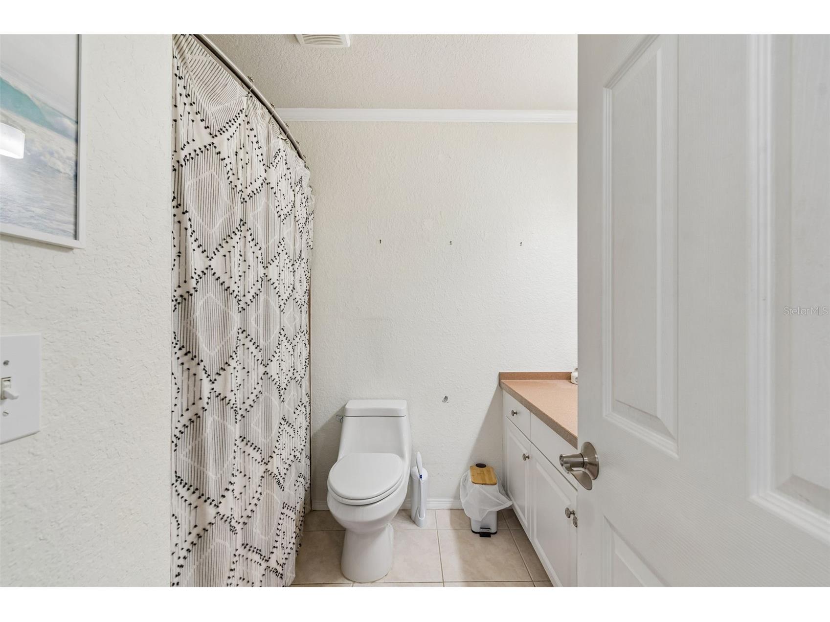 6224 Clifton Palms Drive Tampa FL 33647 TB8519573 image42