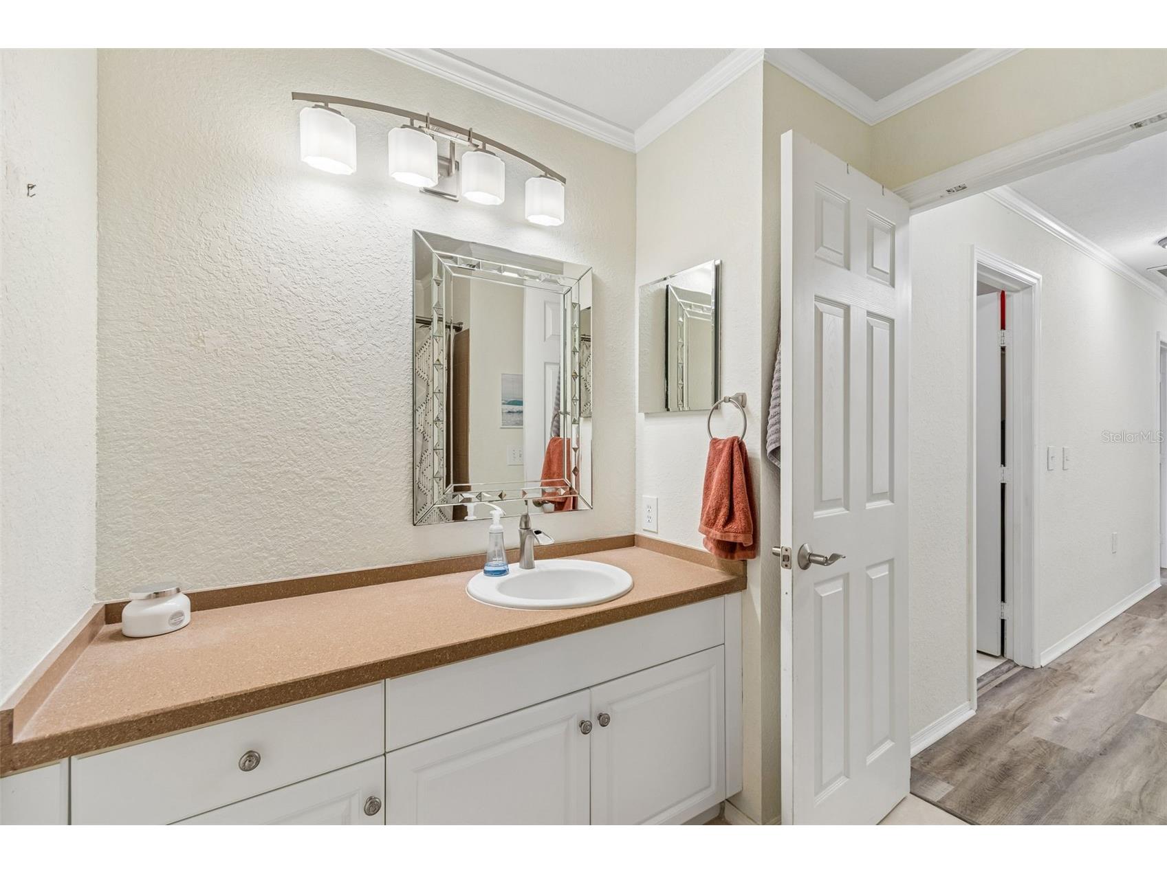 6224 Clifton Palms Drive Tampa FL 33647 TB8519573 image43