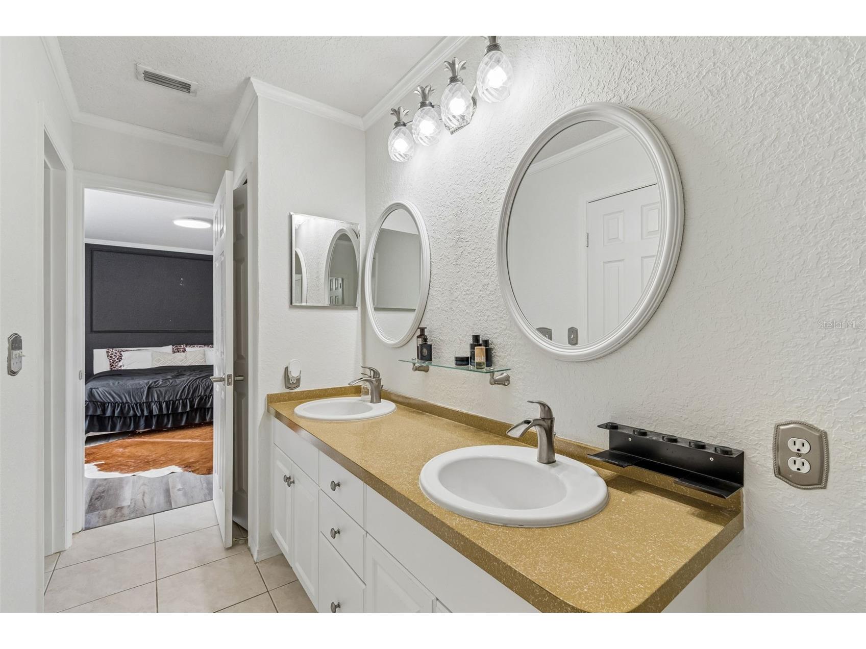 6224 Clifton Palms Drive Tampa FL 33647 TB8519573 image9