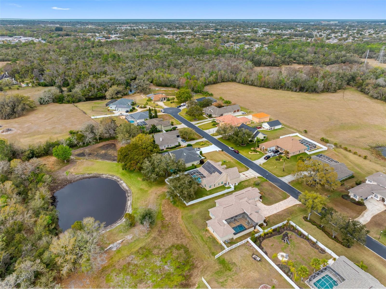 6224 Rockross Avenue New Port Richey FL 34655 TB8473212 image58