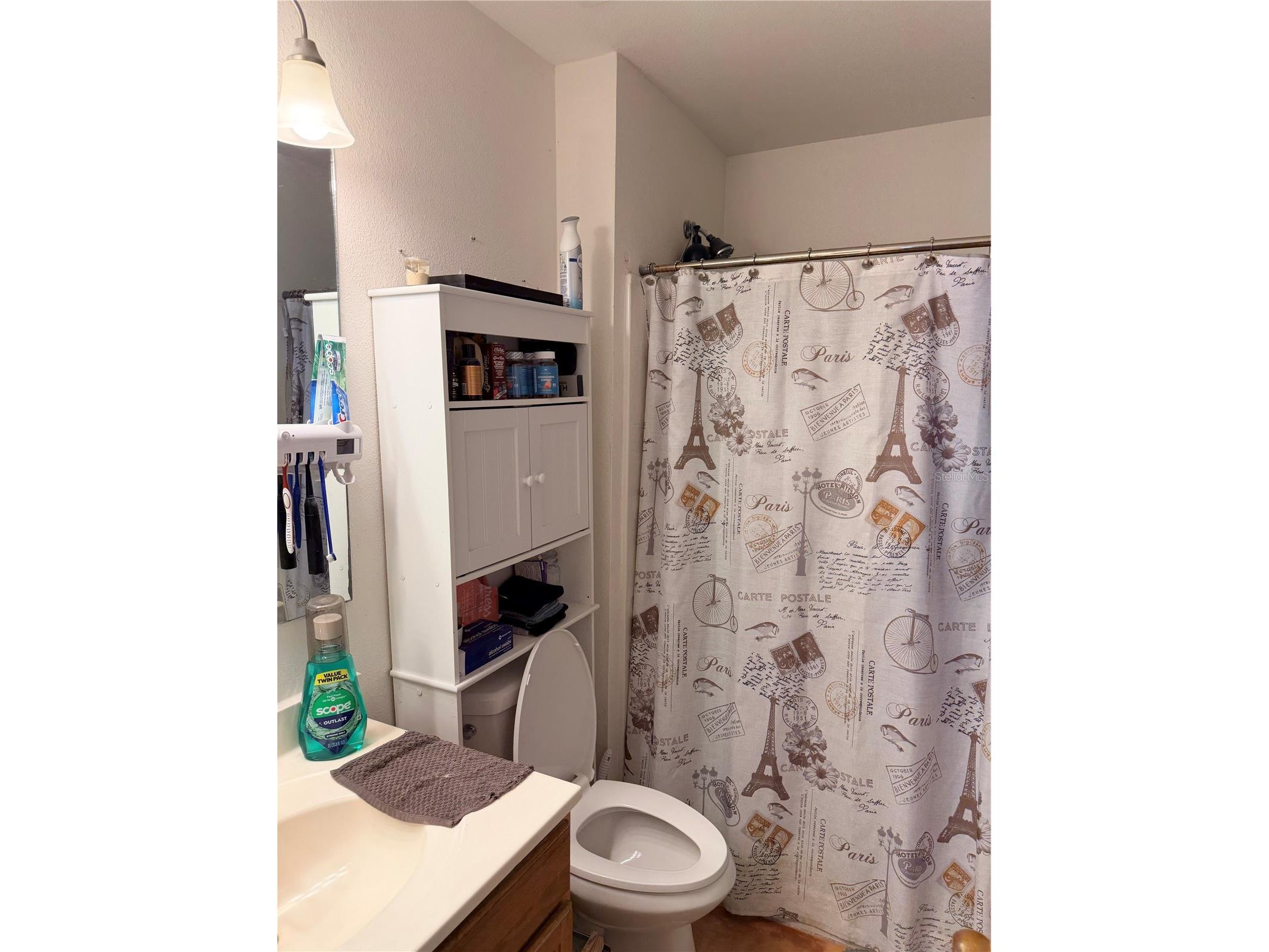 6224 Tabogi Trail Wesley Chapel FL 33545 TB8529675 image11