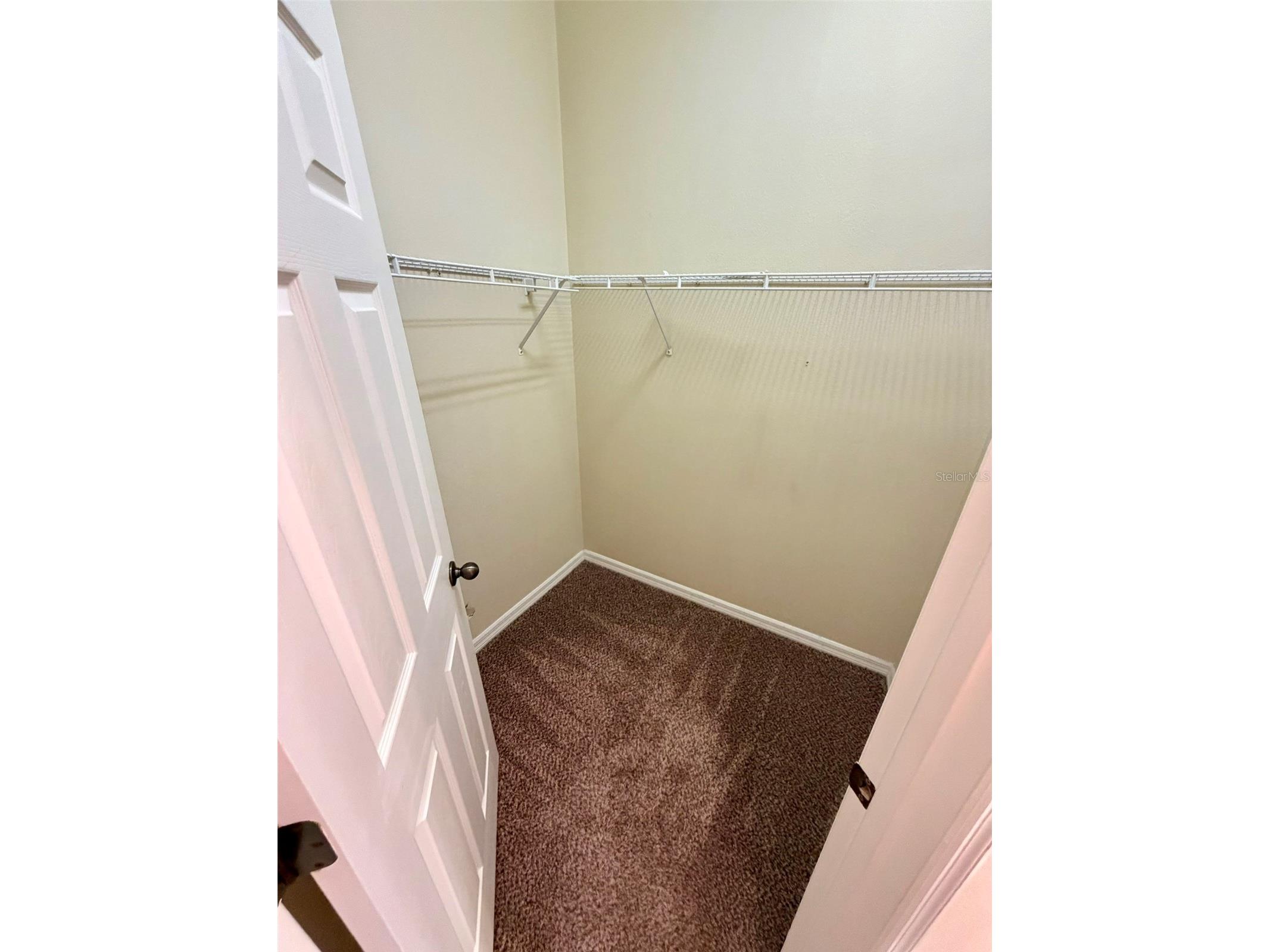 6224 Zane Drive Mount Dora FL 32757 O6378450 image10