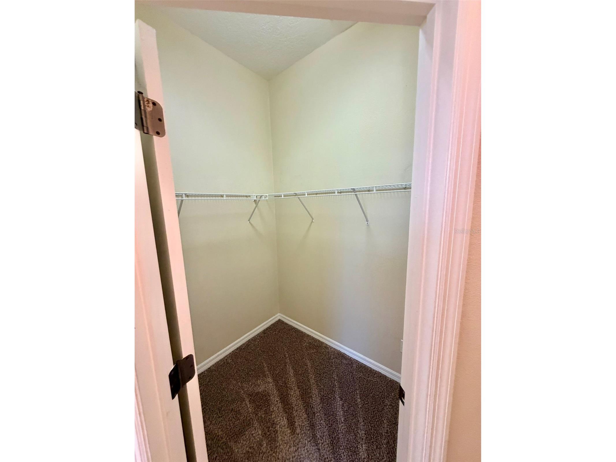 6224 Zane Drive Mount Dora FL 32757 O6378450 image13