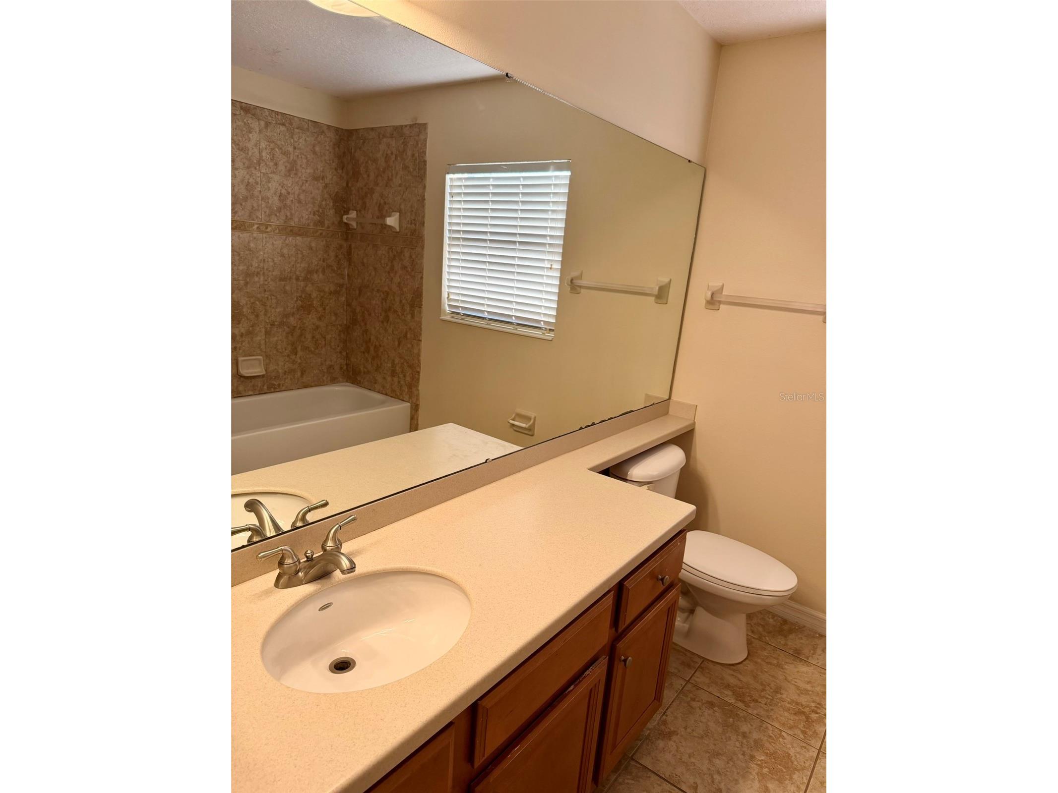 6224 Zane Drive Mount Dora FL 32757 O6378450 image16