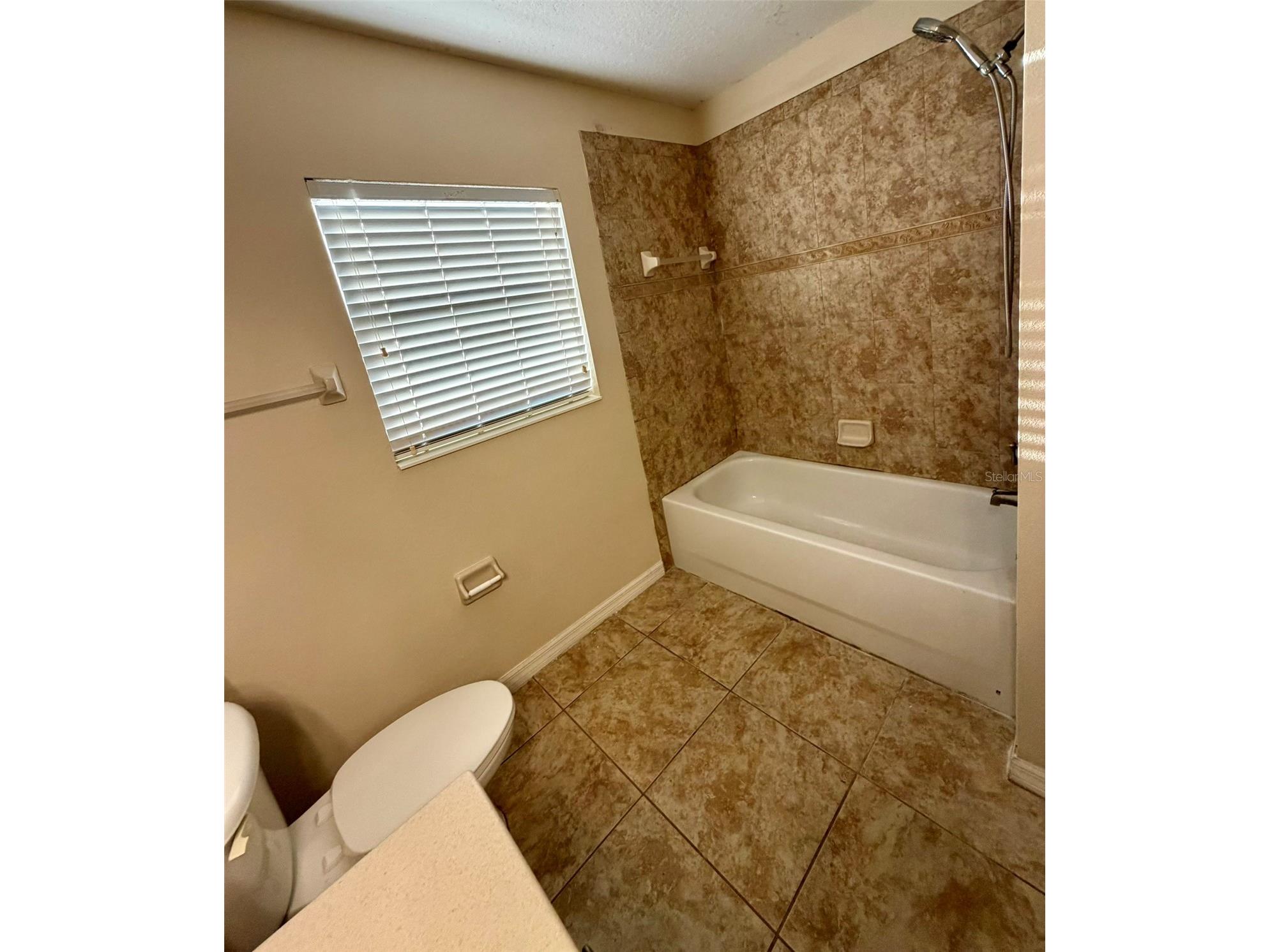 6224 Zane Drive Mount Dora FL 32757 O6378450 image17