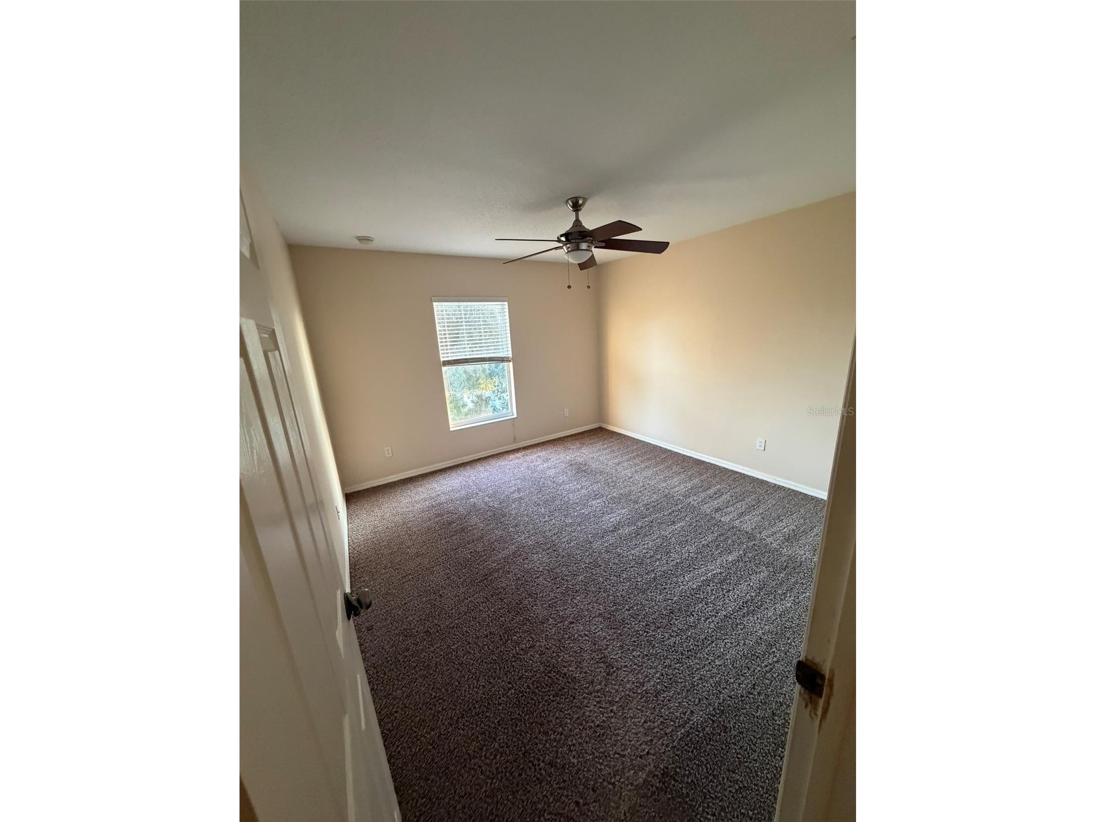 6224 Zane Drive Mount Dora FL 32757 O6378450 image20