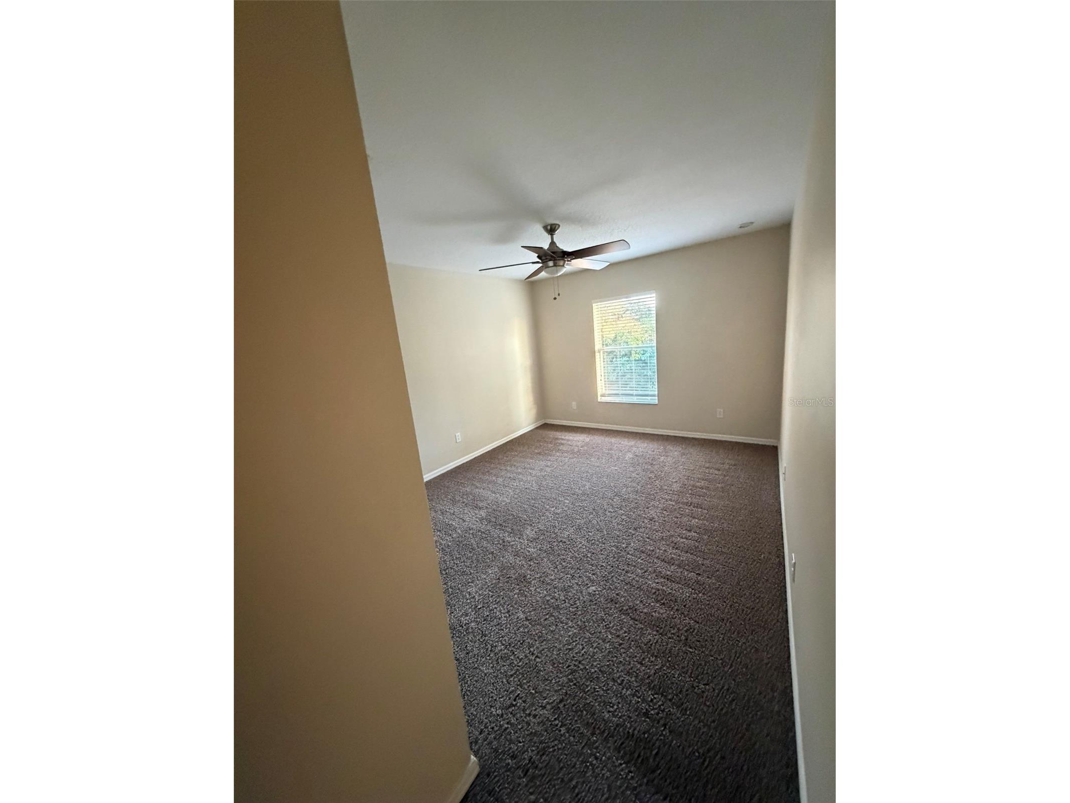 6224 Zane Drive Mount Dora FL 32757 O6378450 image22