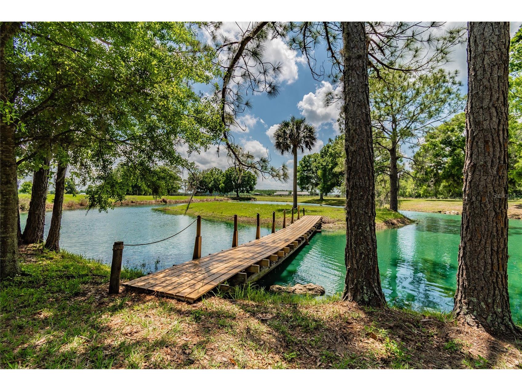 6225 6229 Deen Still Road Lakeland FL 33809 TB8481170 image3