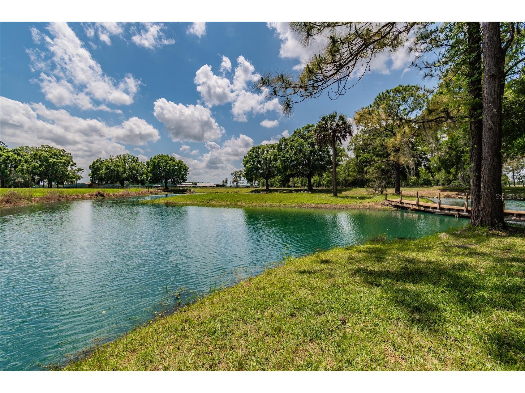 6225 6229 Deen Still Road Lakeland FL 33809 TB8481170 image35