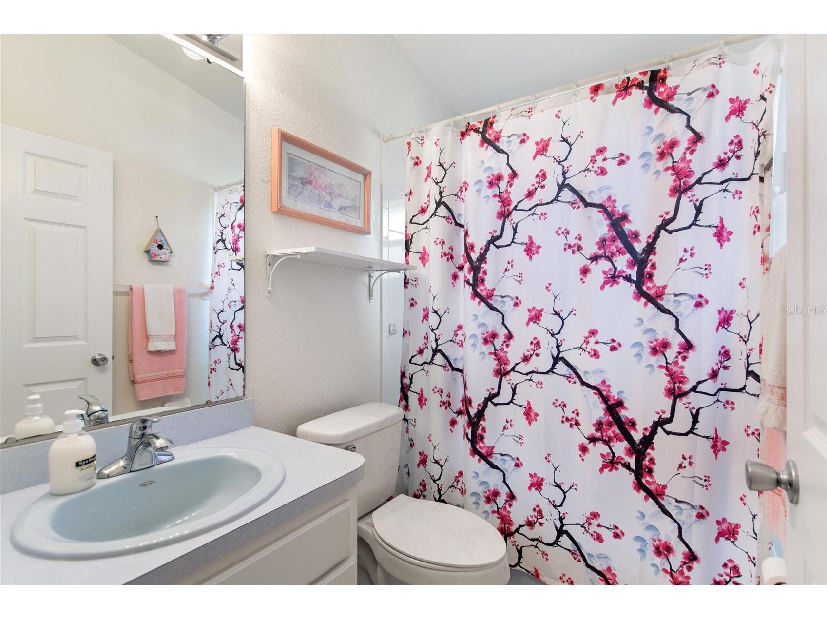6225 Amaryllis Drive Indian Lake Estates FL 33855 - LAKE WALK IN WATER P4938789 image21