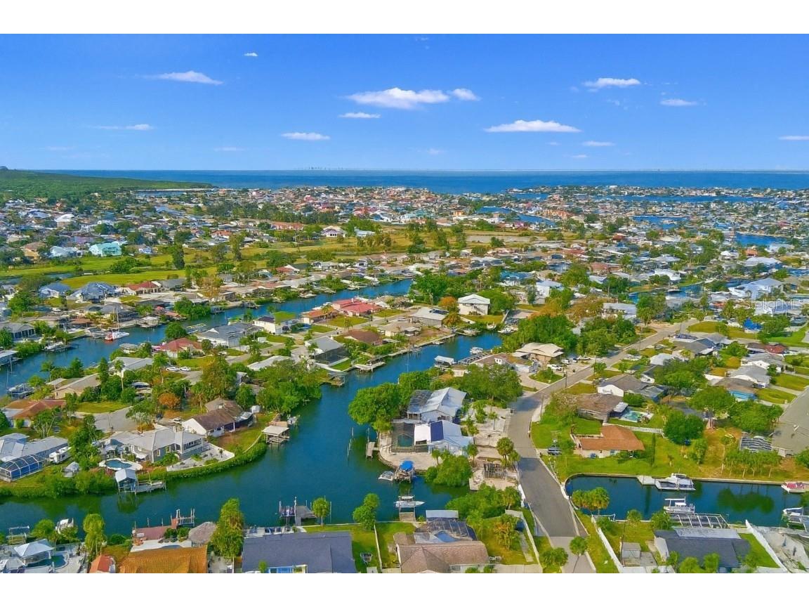 6225 Flamingo Drive Apollo Beach FL 33572 TB8453150 image11