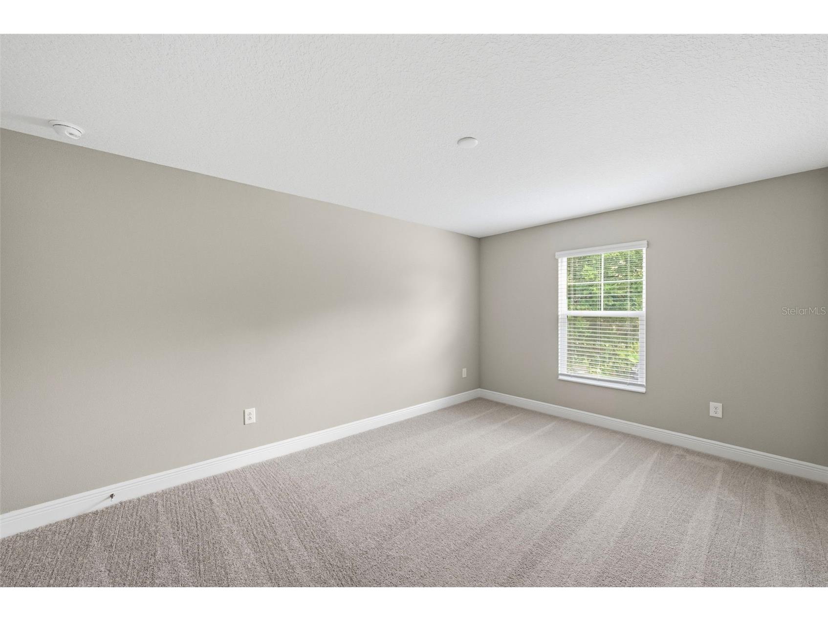 6226 29th Street N Saint Petersburg FL 33702 TB8401278 image19