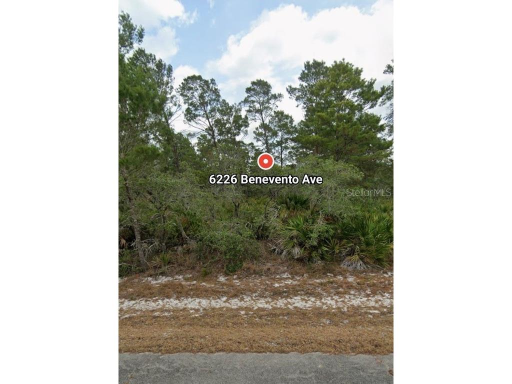 6226 Benevento Avenue Sebring FL 33872 C7510875 image1