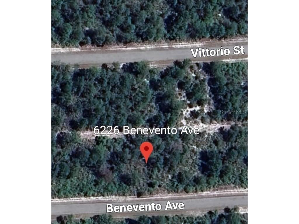 6226 Benevento Avenue Sebring FL 33872 C7510875 image2