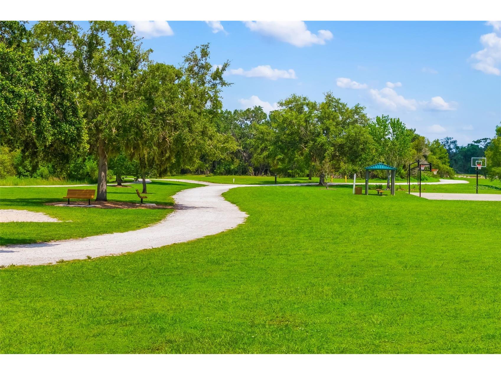 6226 Blueflower Court Lakewood Ranch FL 34202 A4692472 image80