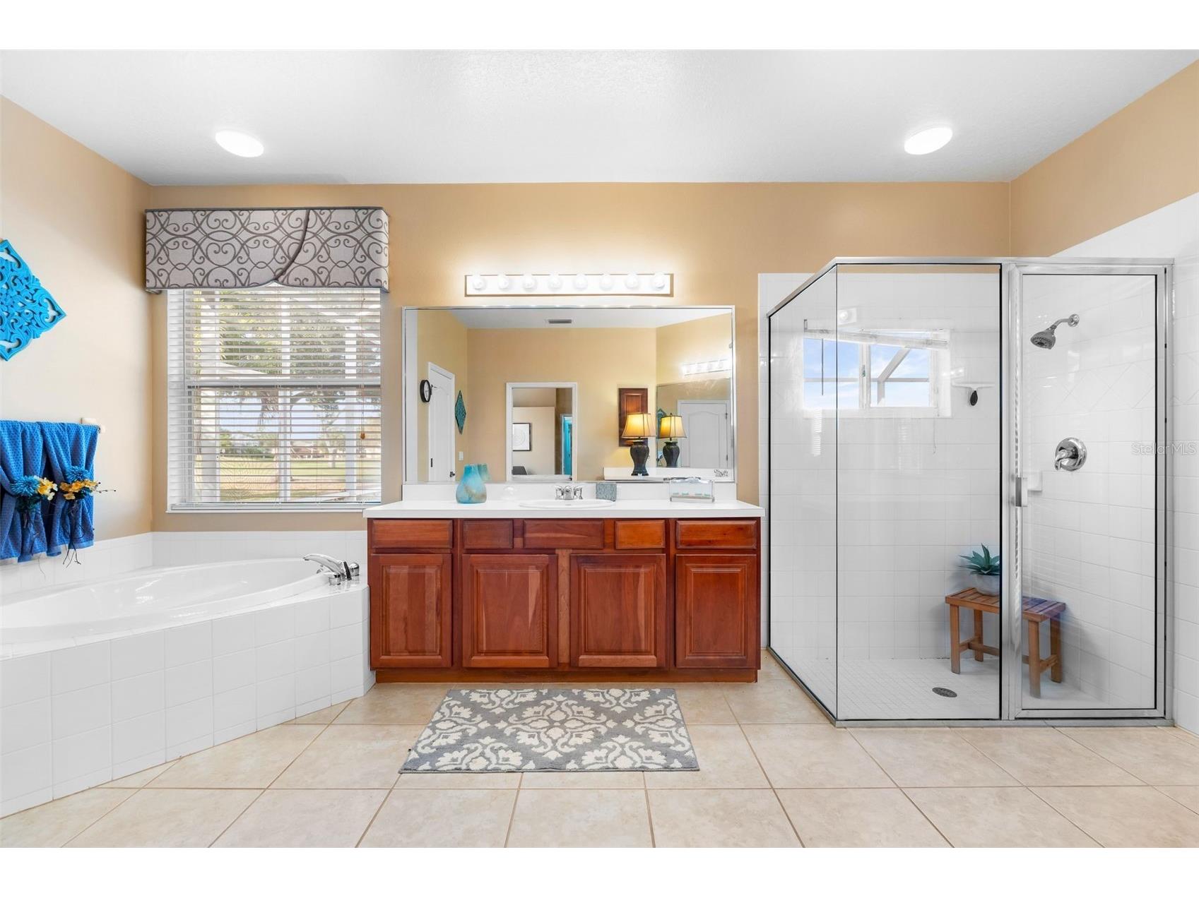 6226 Ikes Cabin Court Palmetto FL 34221 A4679862 image17