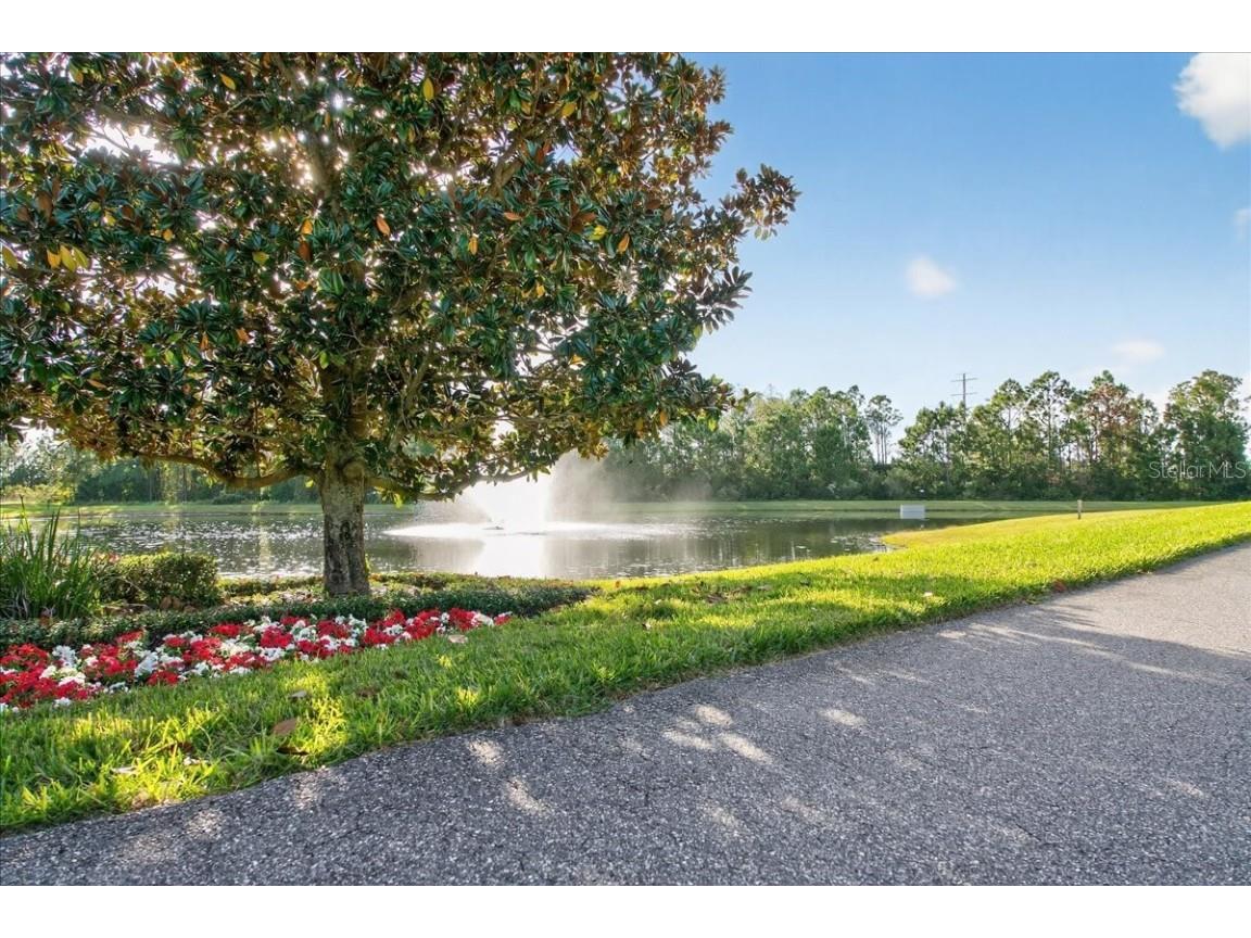 6226 Manuscript Street Winter Garden FL 34787 O6359078 image65