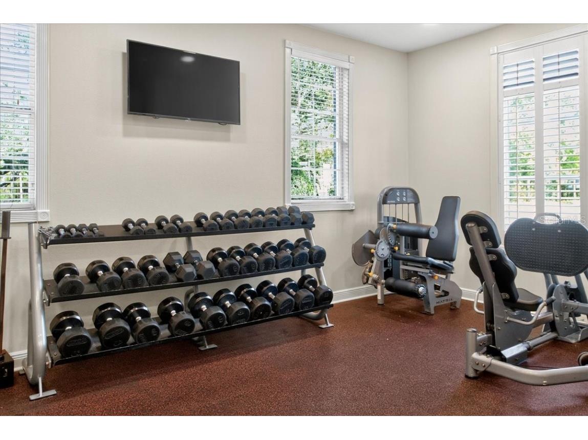 6226 Manuscript Street Winter Garden FL 34787 O6359078 image71