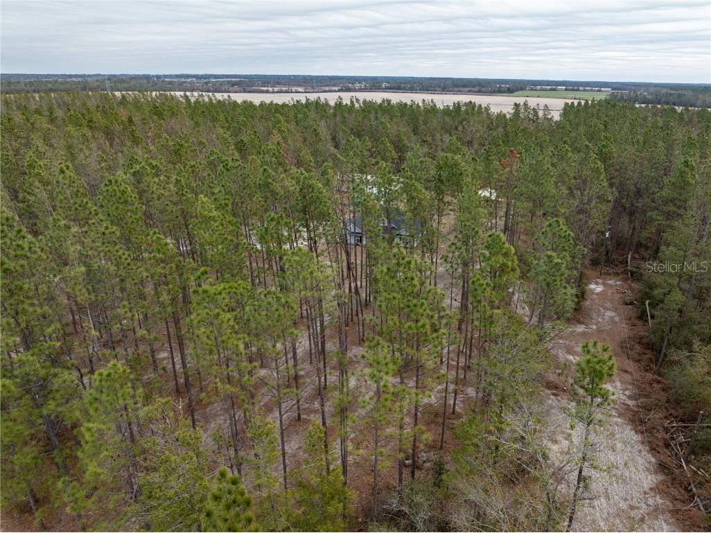 6226 NW County Road 143 Jennings FL 32053 C7503211 image35