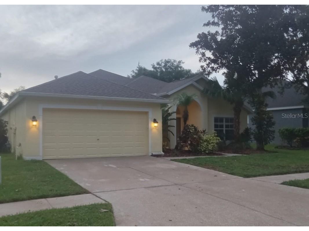 6227 Whimbrelwood Drive Lithia FL 33547 U8252517 image1