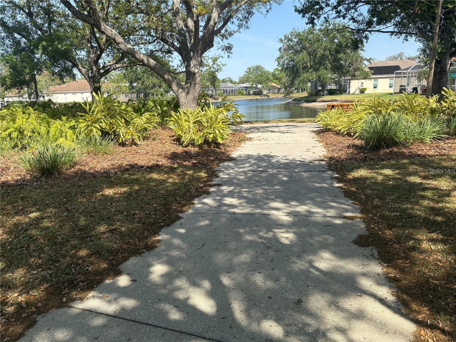 6227 Yellowtop Drive Lakewood Ranch FL 34202 A4695179 image21