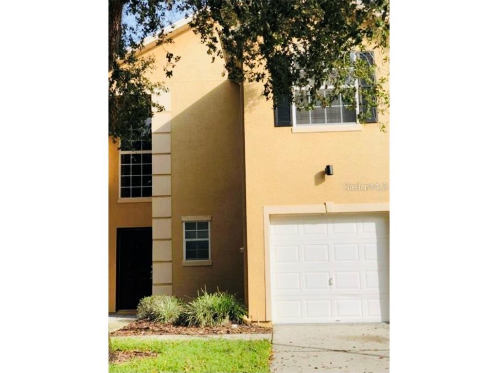 6228 Clifton Palms Drive Tampa FL 33647 T3456104 image1