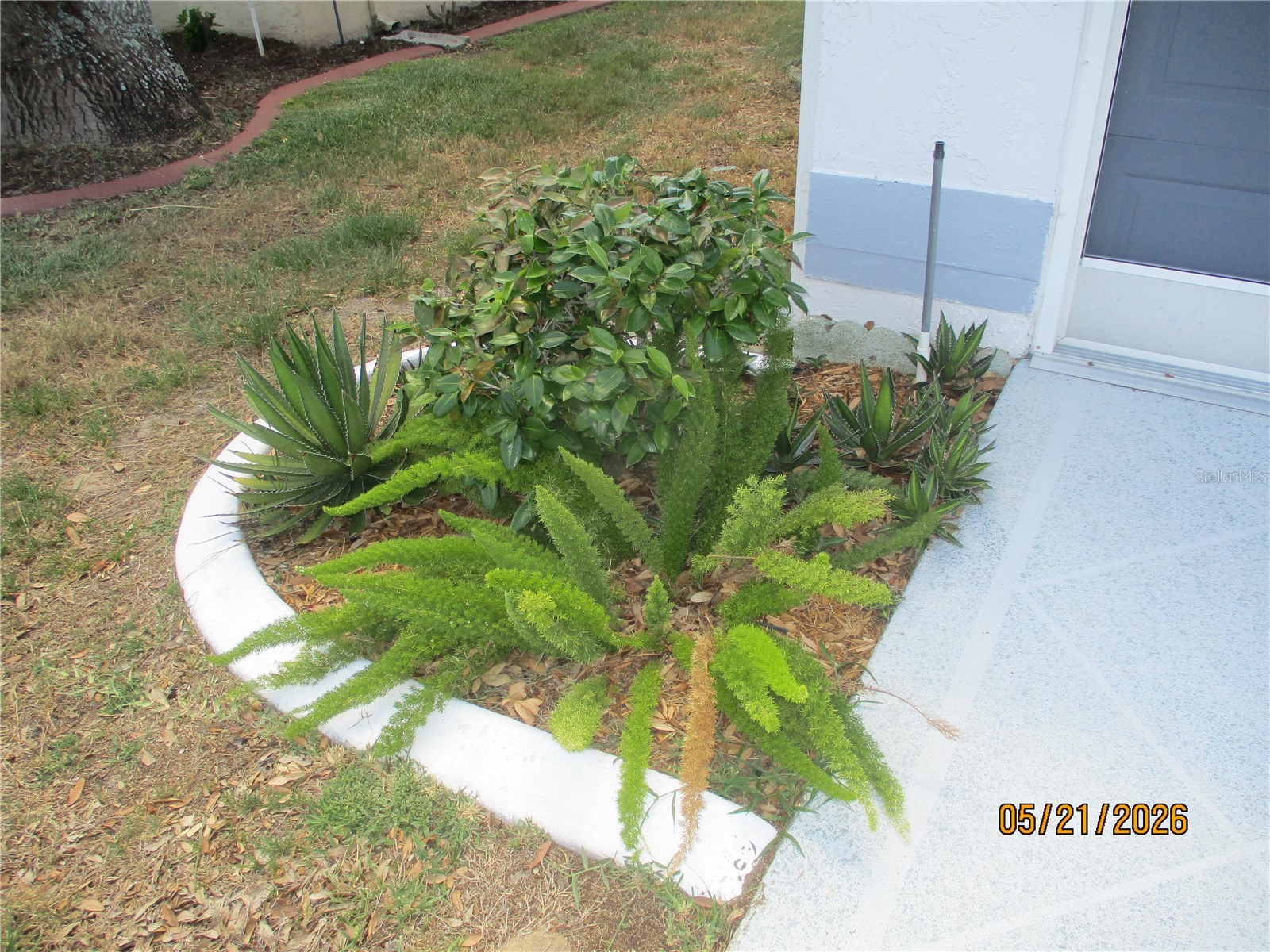 6228 Egret Drive Lakeland FL 33809 R4911306 image11