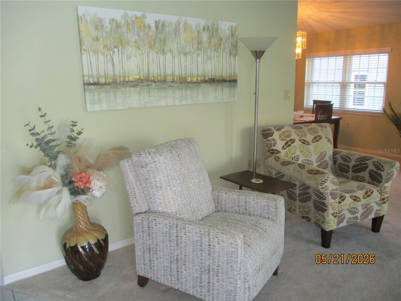 6228 Egret Drive Lakeland FL 33809 R4911306 image14