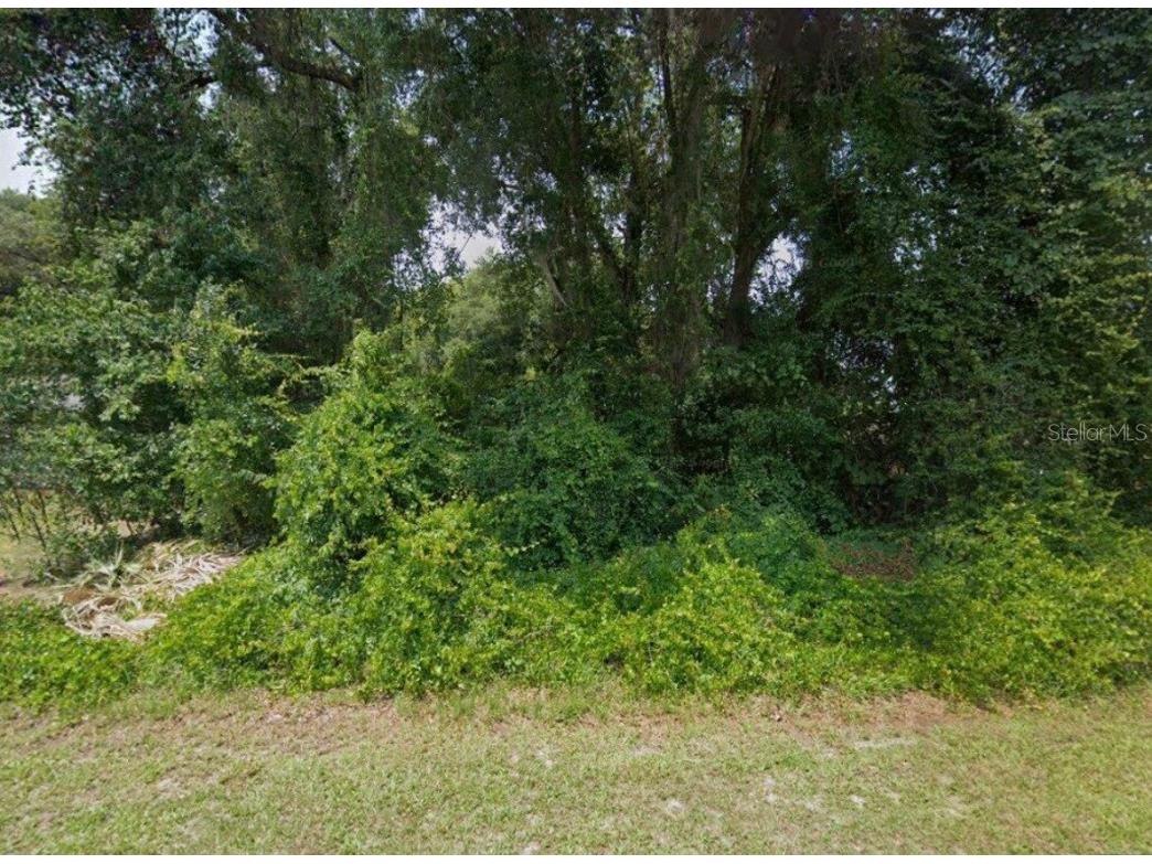 6229 E Quincy Street Inverness FL 34452 U8209026 image1