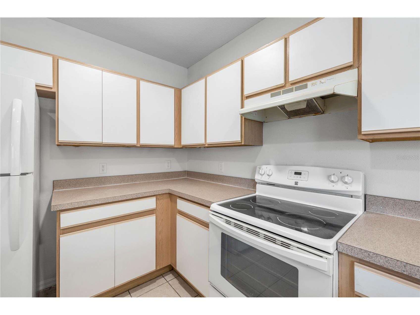 6229 Olivedale Drive Riverview FL 33578 TB8473263 image16