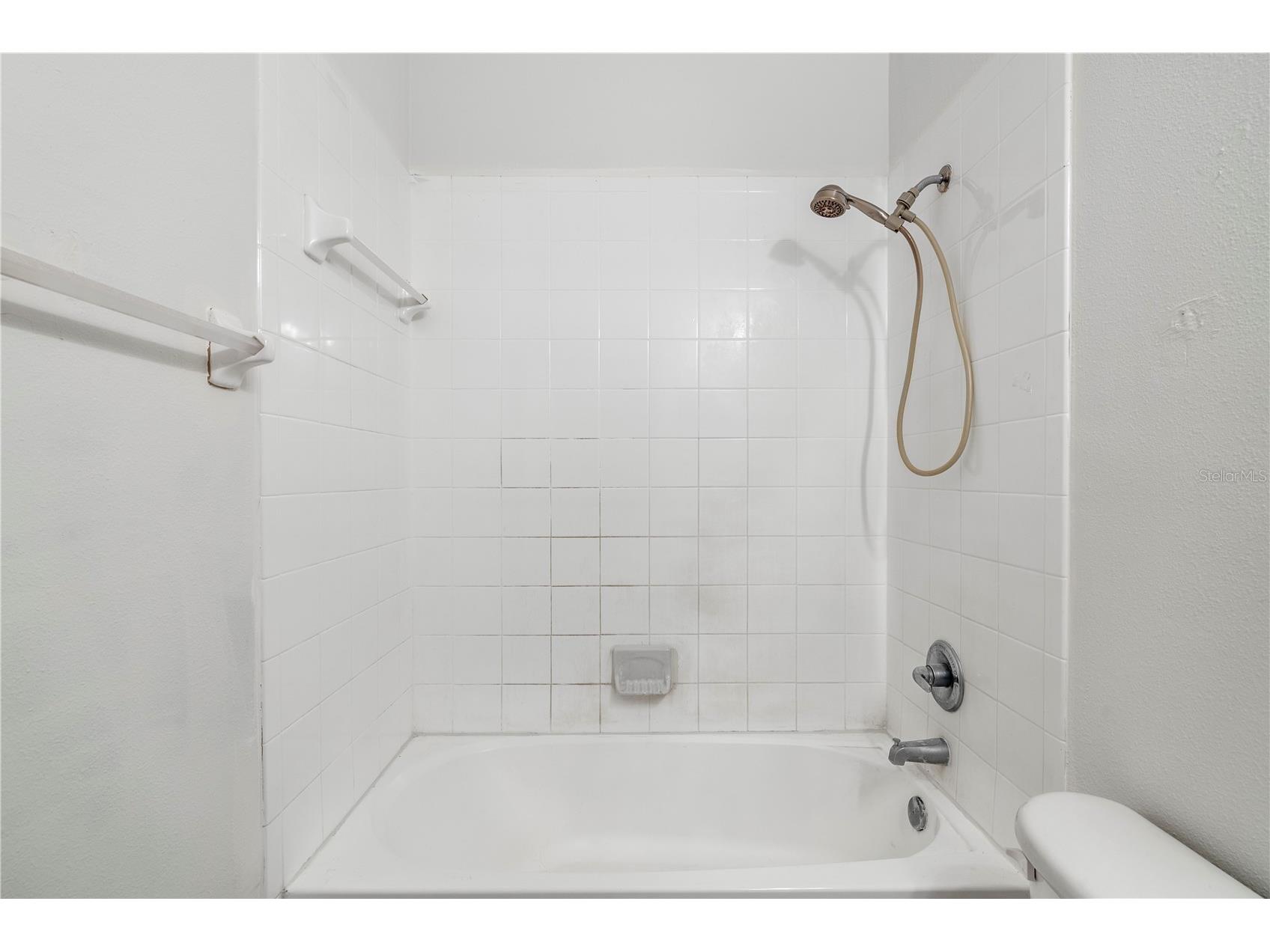 6229 Olivedale Drive Riverview FL 33578 TB8473263 image24