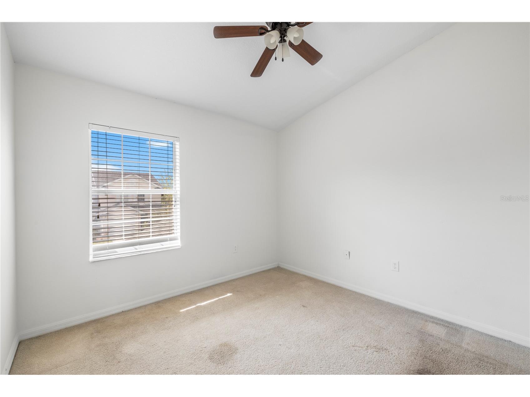 6229 Olivedale Drive Riverview FL 33578 TB8473263 image31