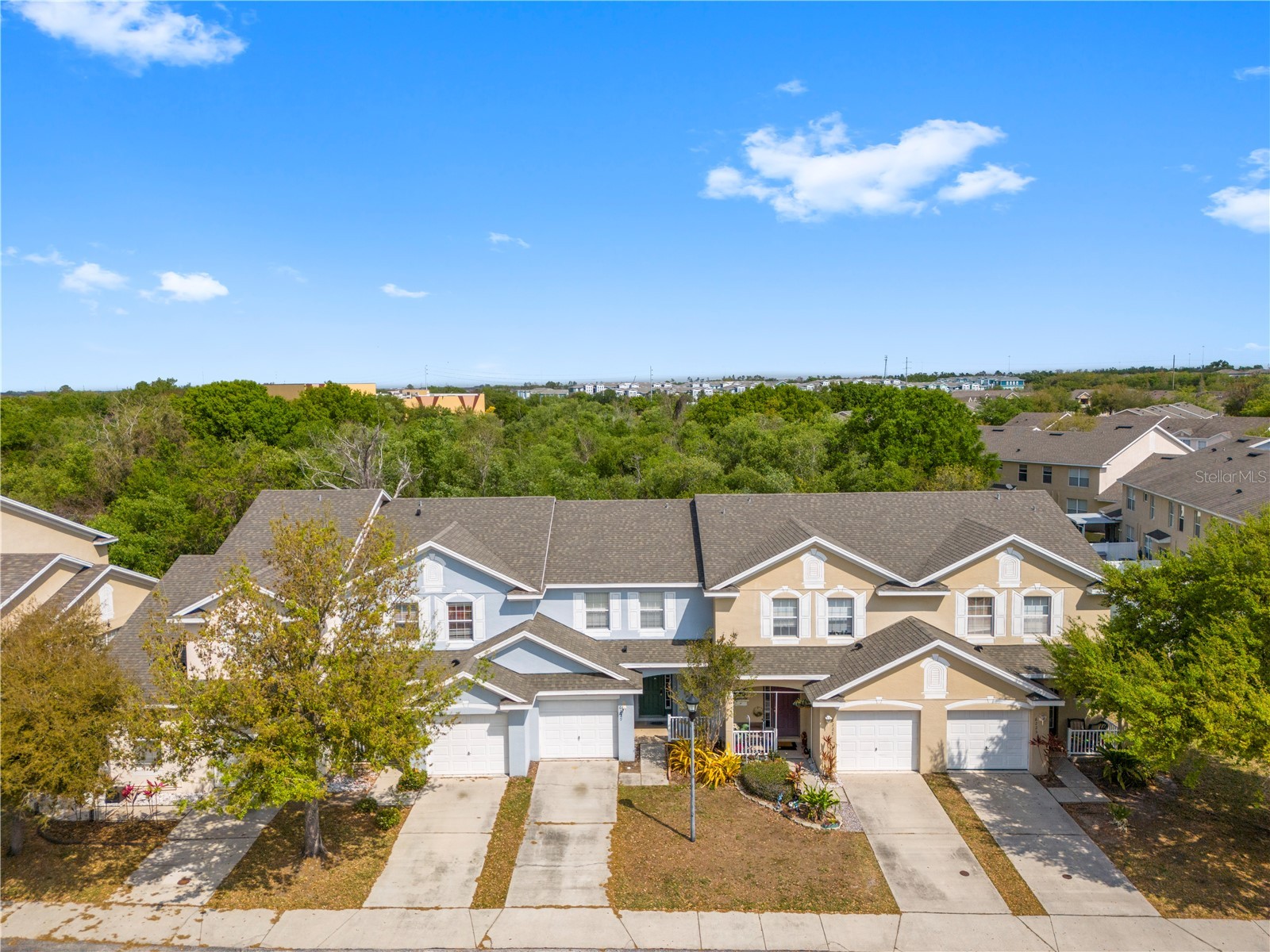 6229 Olivedale Drive Riverview FL 33578 TB8473263 image44