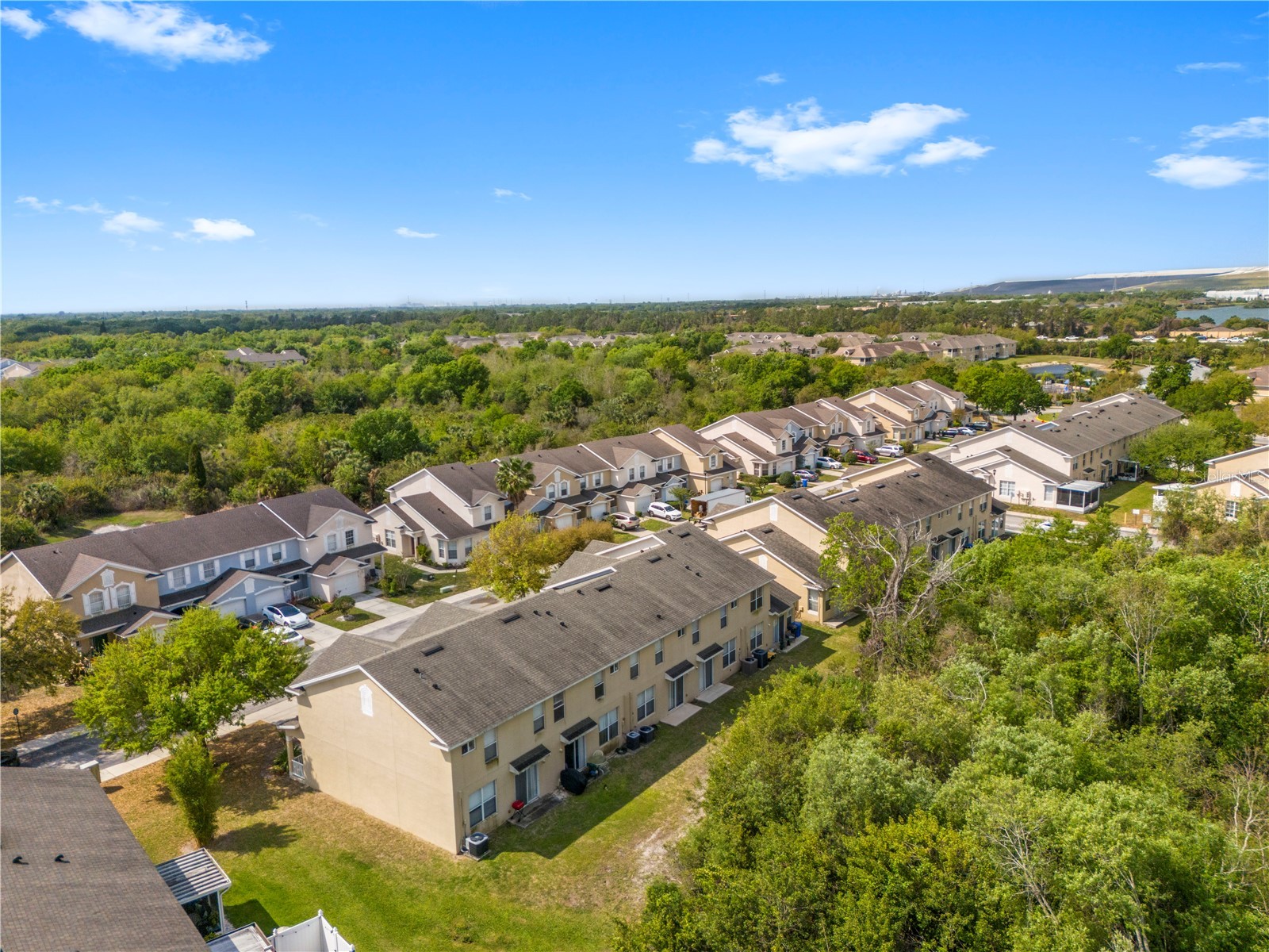 6229 Olivedale Drive Riverview FL 33578 TB8473263 image49