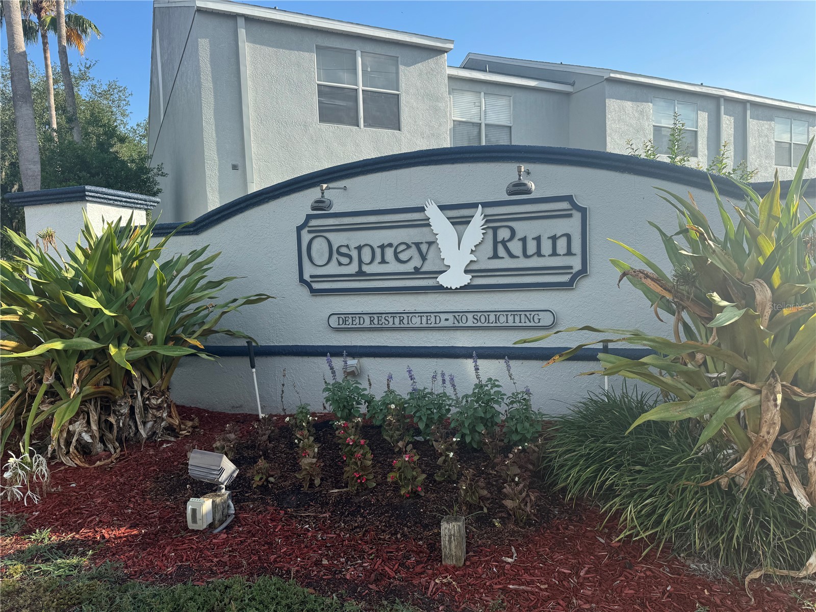 6229 Osprey Lake Circle Riverview FL 33578 TB8509372 image1