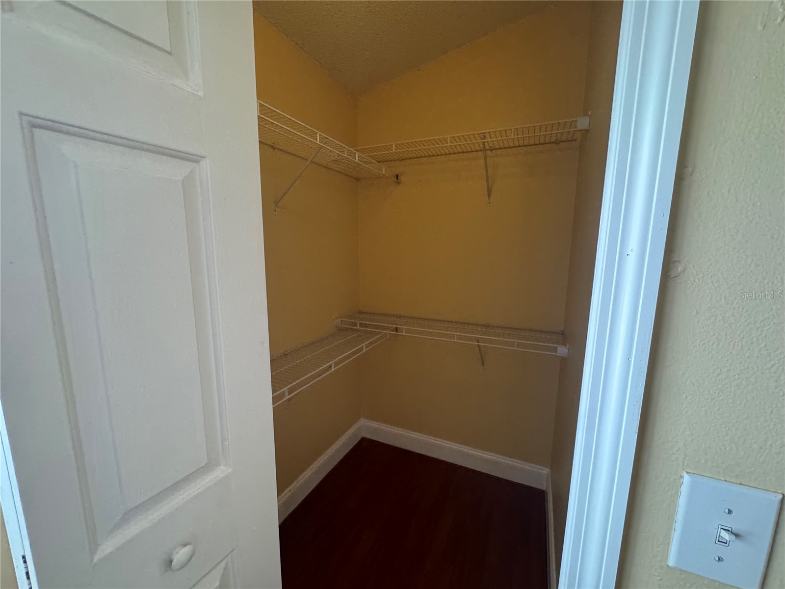 6229 Osprey Lake Circle Riverview FL 33578 TB8509372 image19