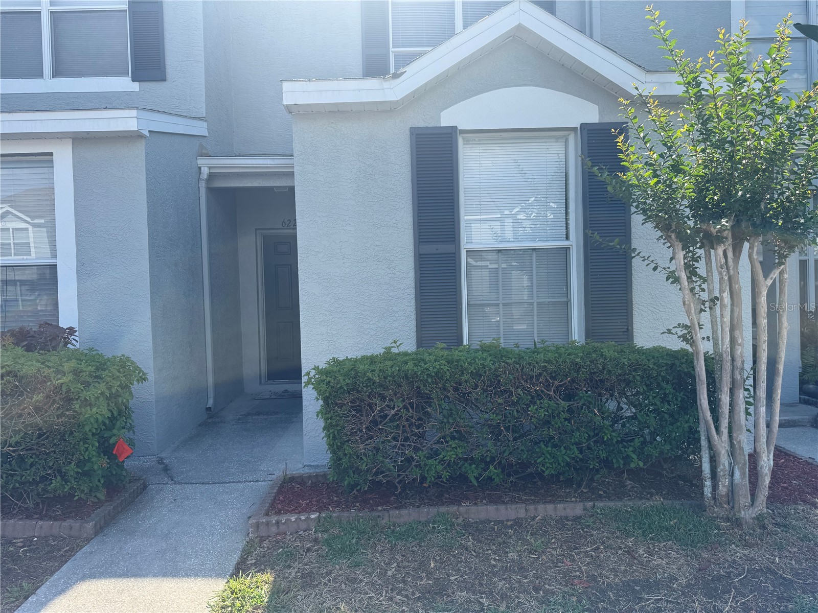 6229 Osprey Lake Circle Riverview FL 33578 TB8509372 image2