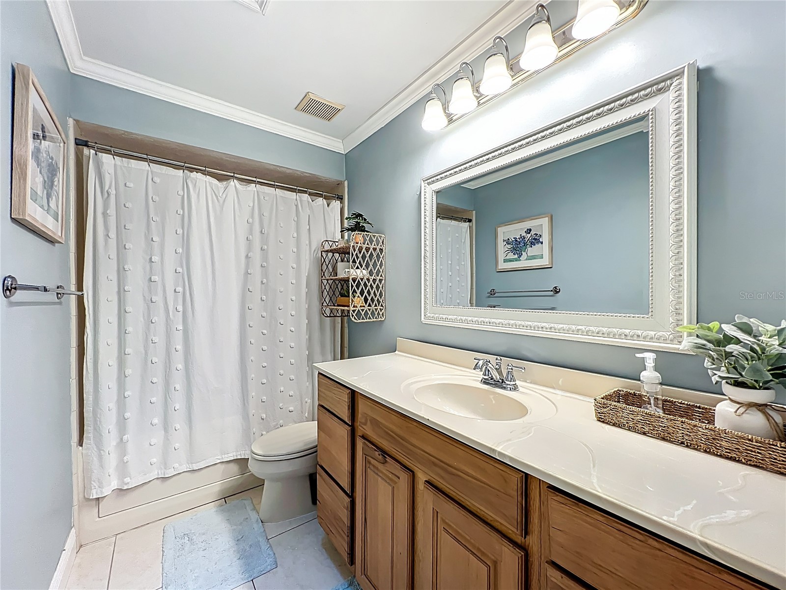 6229 Silver Glen Court Orlando FL 32819 S5147466 image24