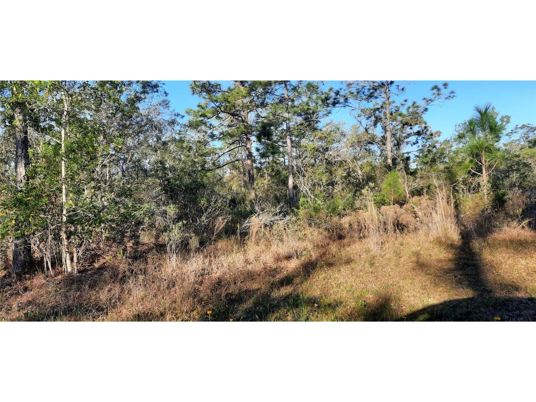 623 Granada Drive Indian Lake Estates FL 33855 - LAKE WALK-IN-WATER TB8363244 image5