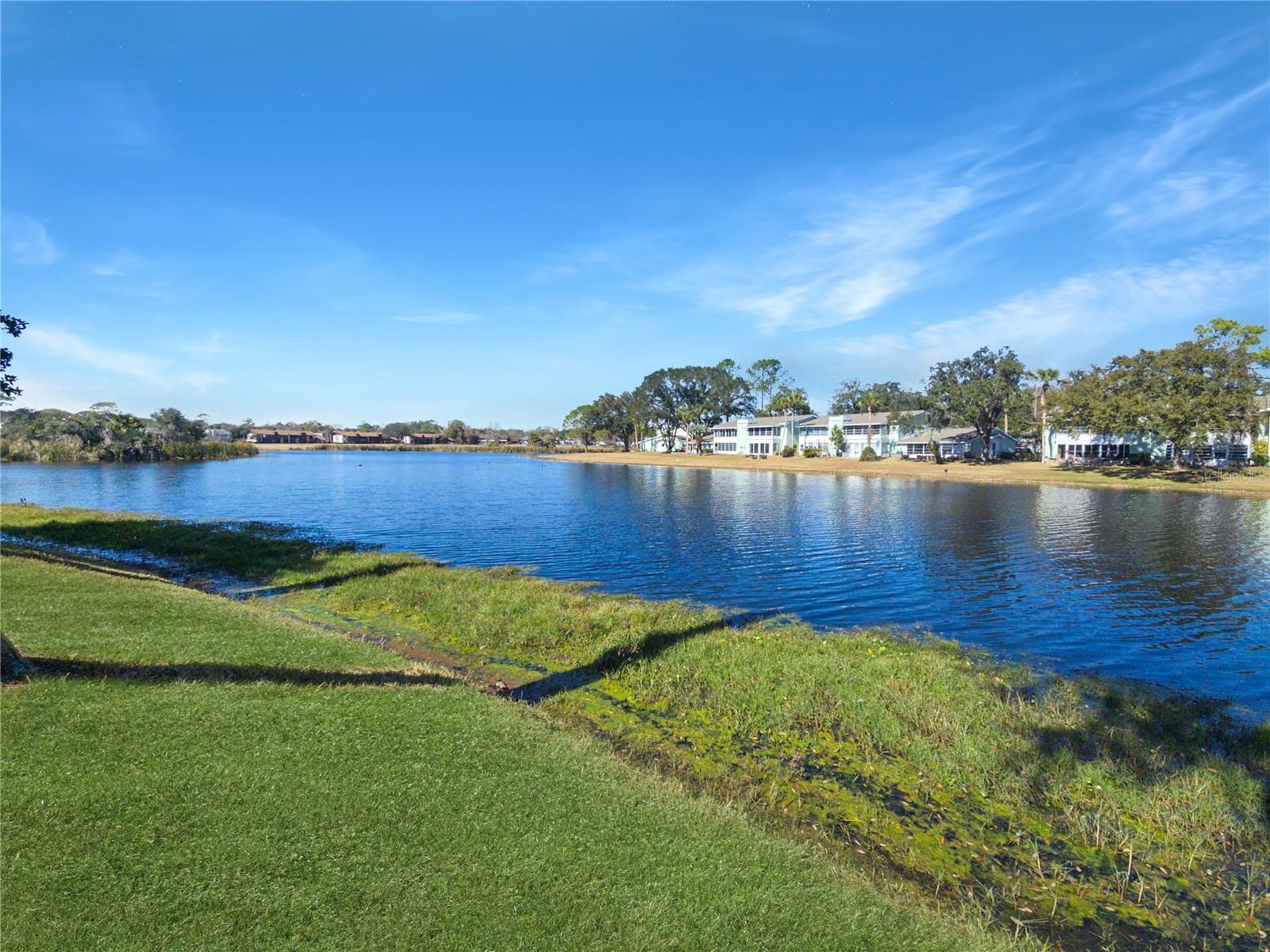 623 Midway Drive #B Ocala FL 34472 - LAKE SPARKLE OM726631 image26