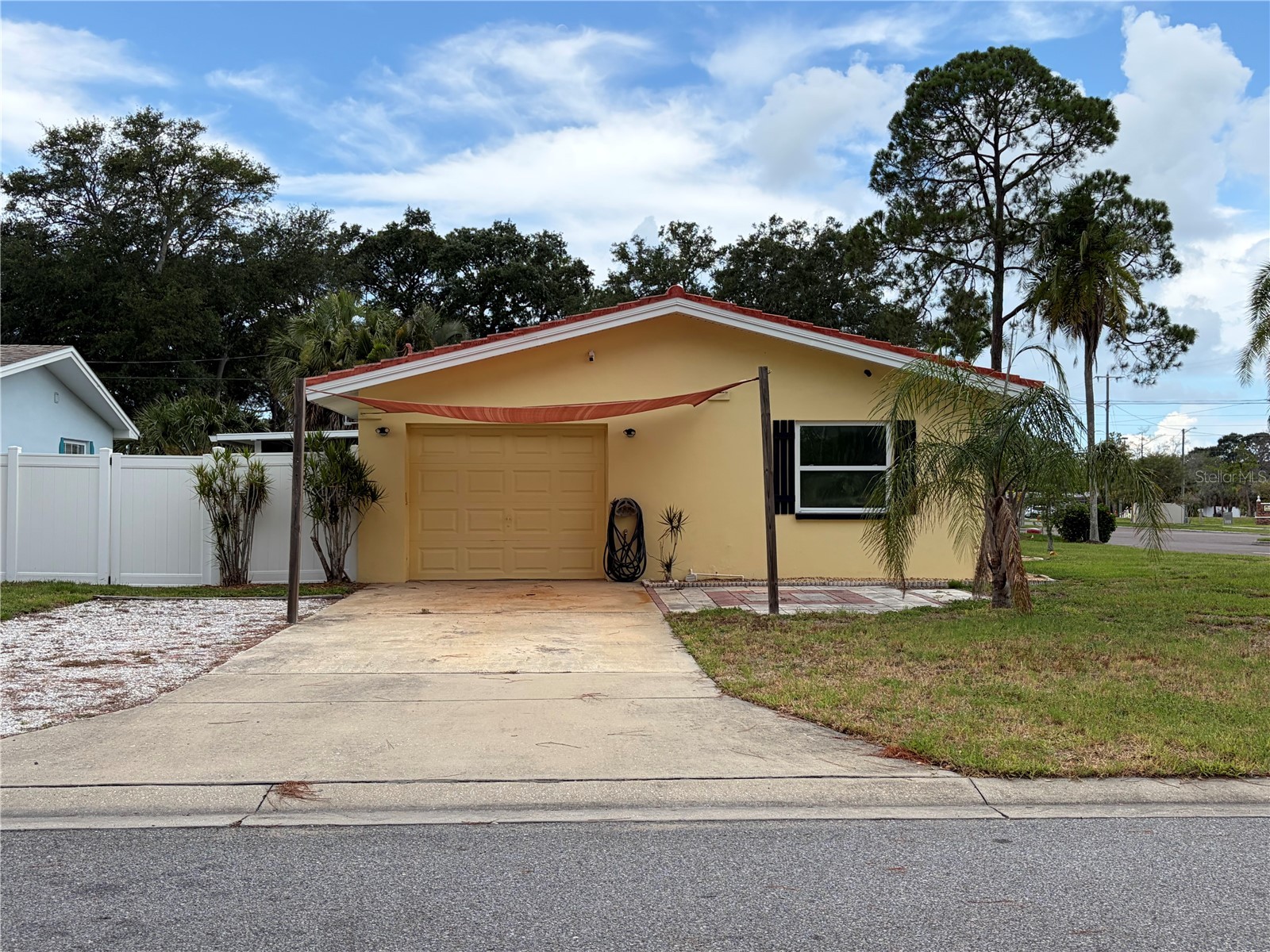 623 Palm Boulevard Dunedin FL 34698 A4699298 image3